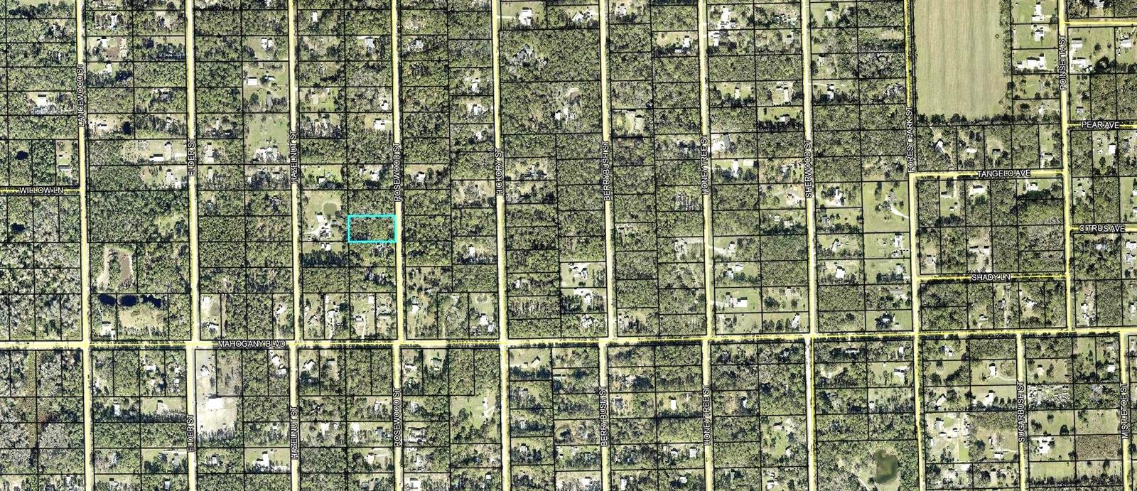 1352 ROSEWOOD ST, BUNNELL, FL — photo 3