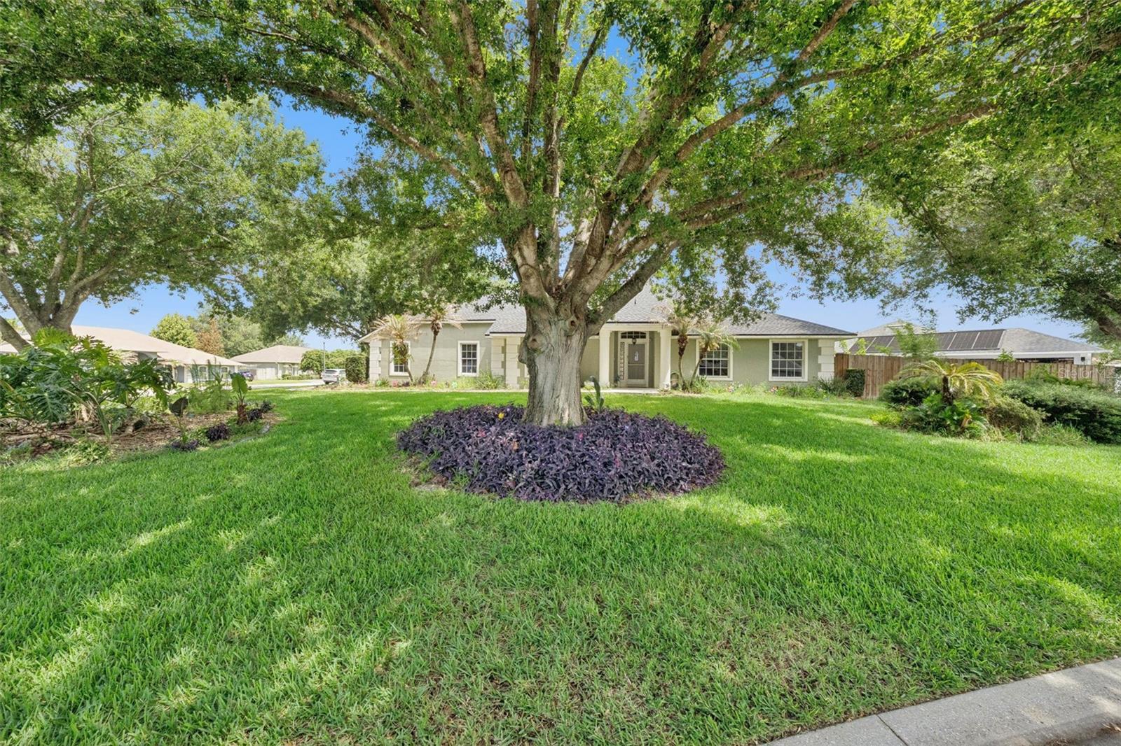 11232 MARSEILLES BLVD, CLERMONT, FL — photo 5