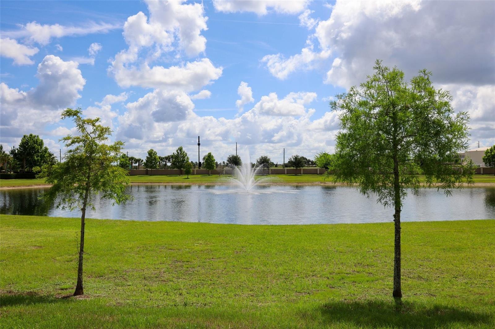 9103 MORGANA CT, WINTER GARDEN, FL — photo 59
