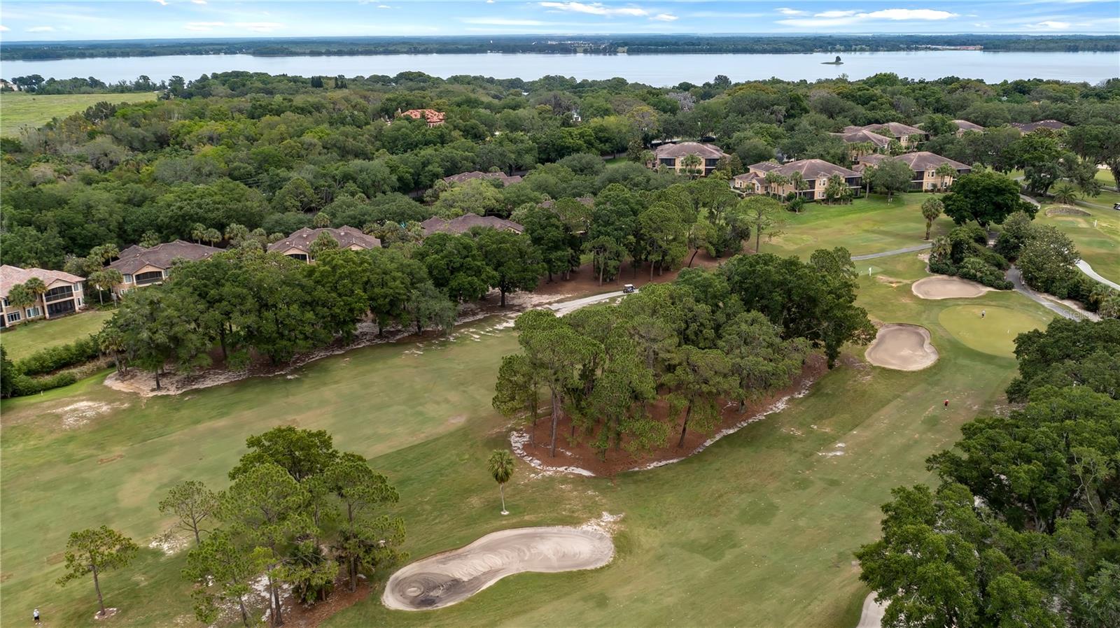 1246 LIDO DR, HOWEY IN THE HILLS, FL — photo 87