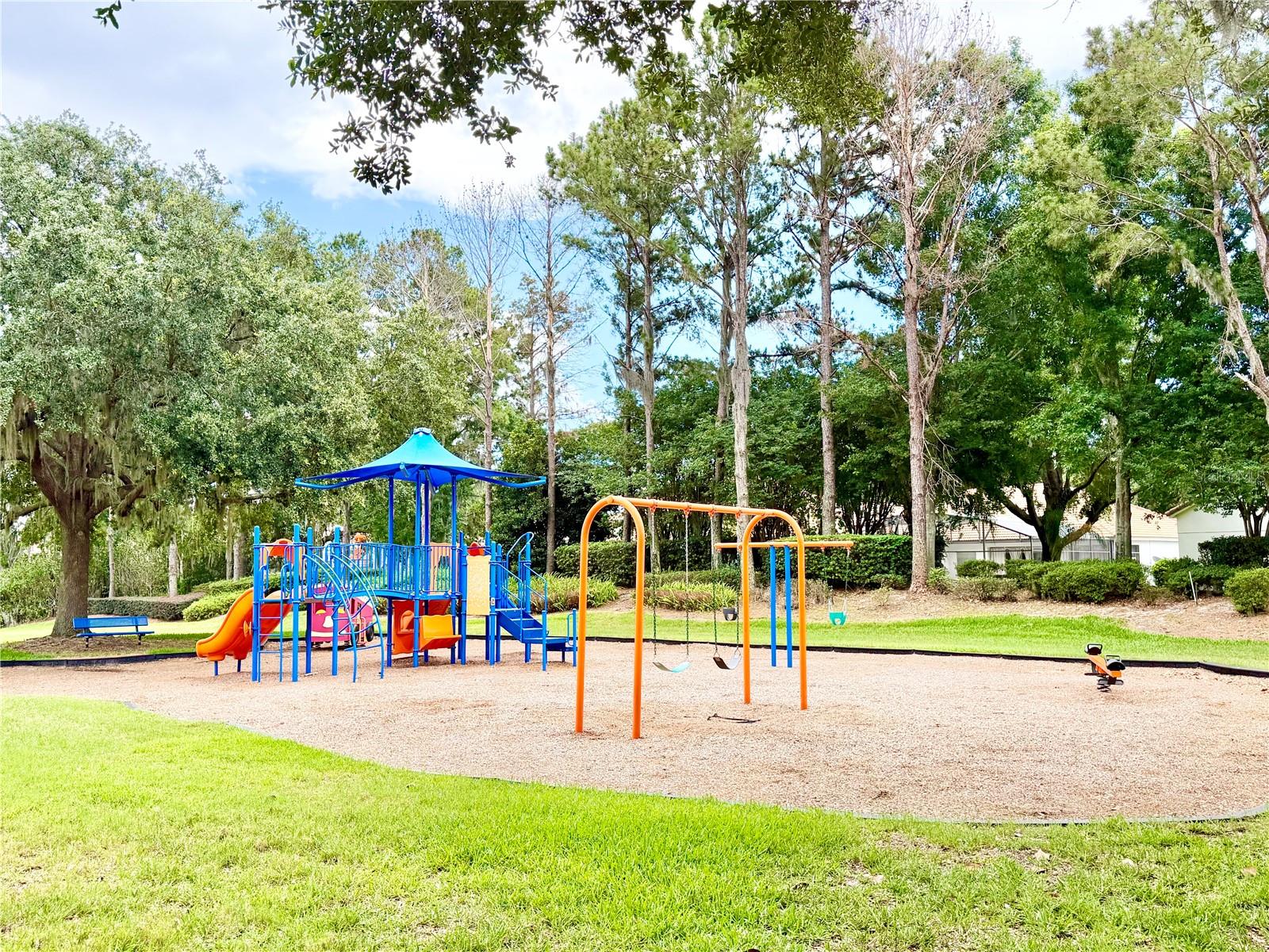 11326 LEDGEMENT LN, WINDERMERE, FL — photo 62