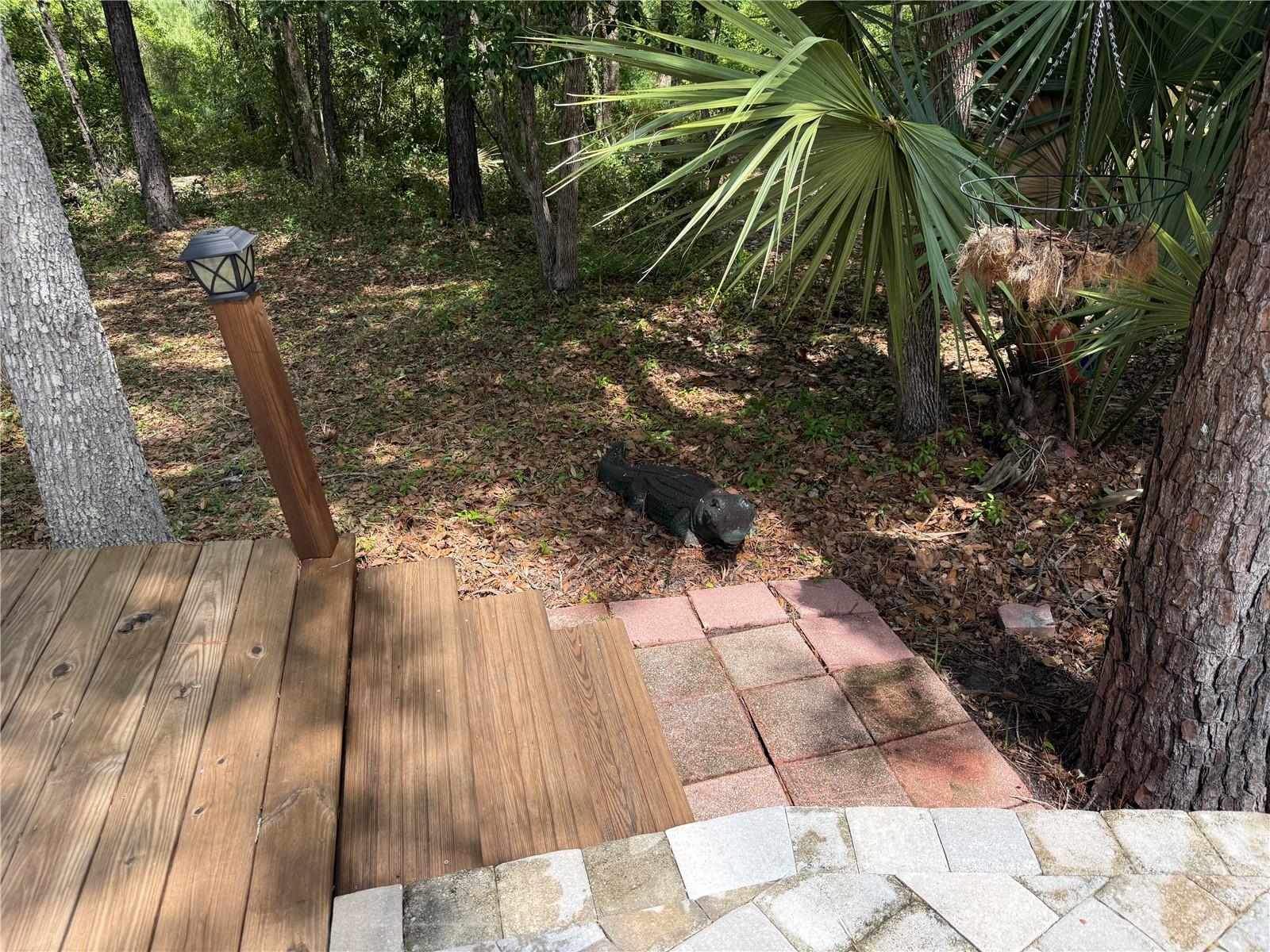 2853 NE 104TH TER, SILVER SPRINGS, FL — photo 10