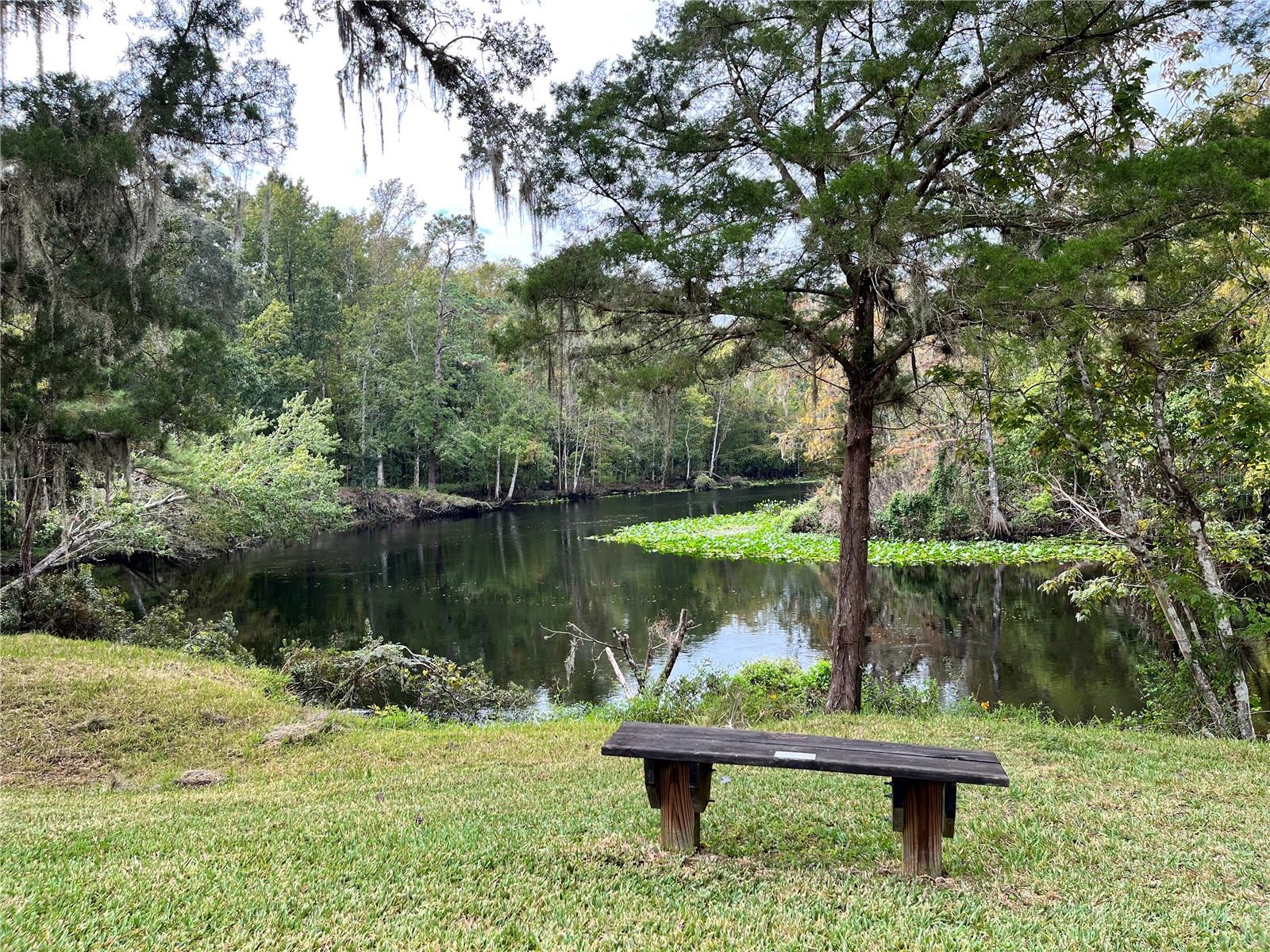2853 NE 104TH TER, SILVER SPRINGS, FL — photo 65