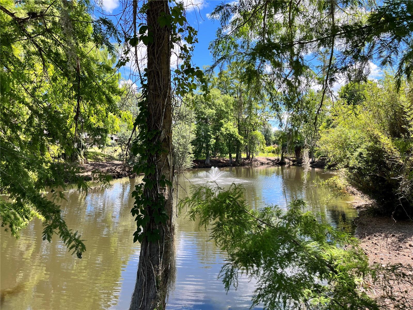 2853 NE 104TH TER, SILVER SPRINGS, FL — photo 86