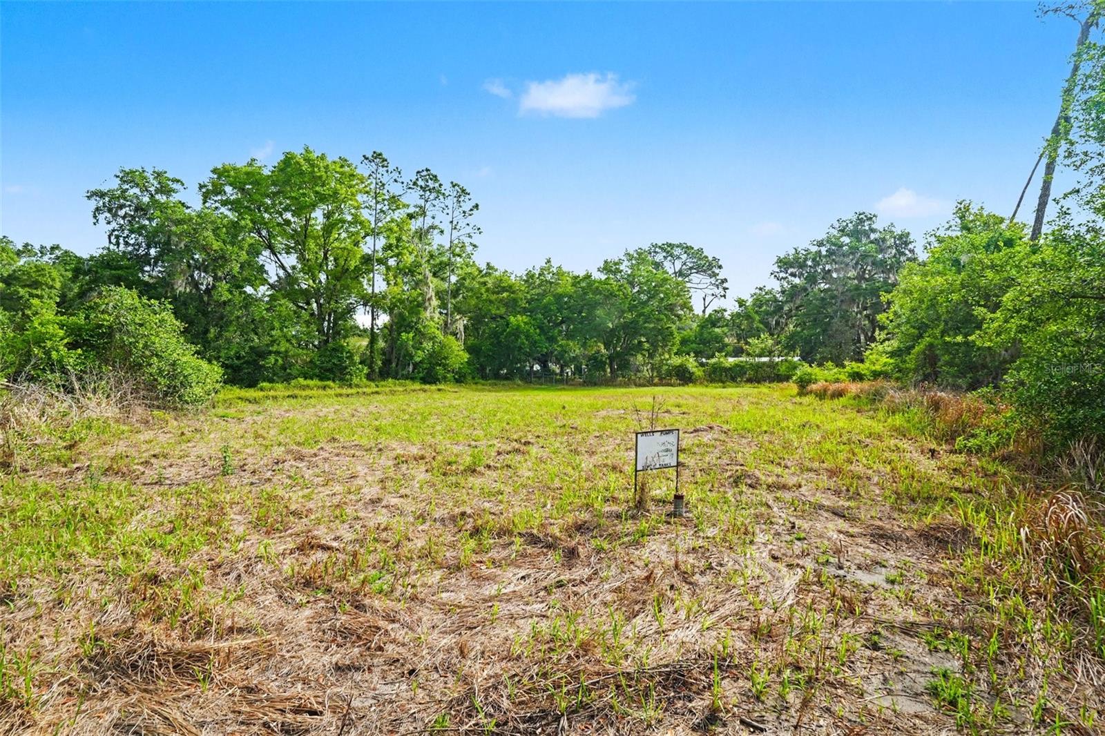 4103 STANLEY RD, PLANT CITY, FL — photo 4