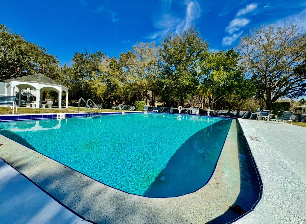 8651 10TH ST N #210, ST PETERSBURG, FL — photo 26