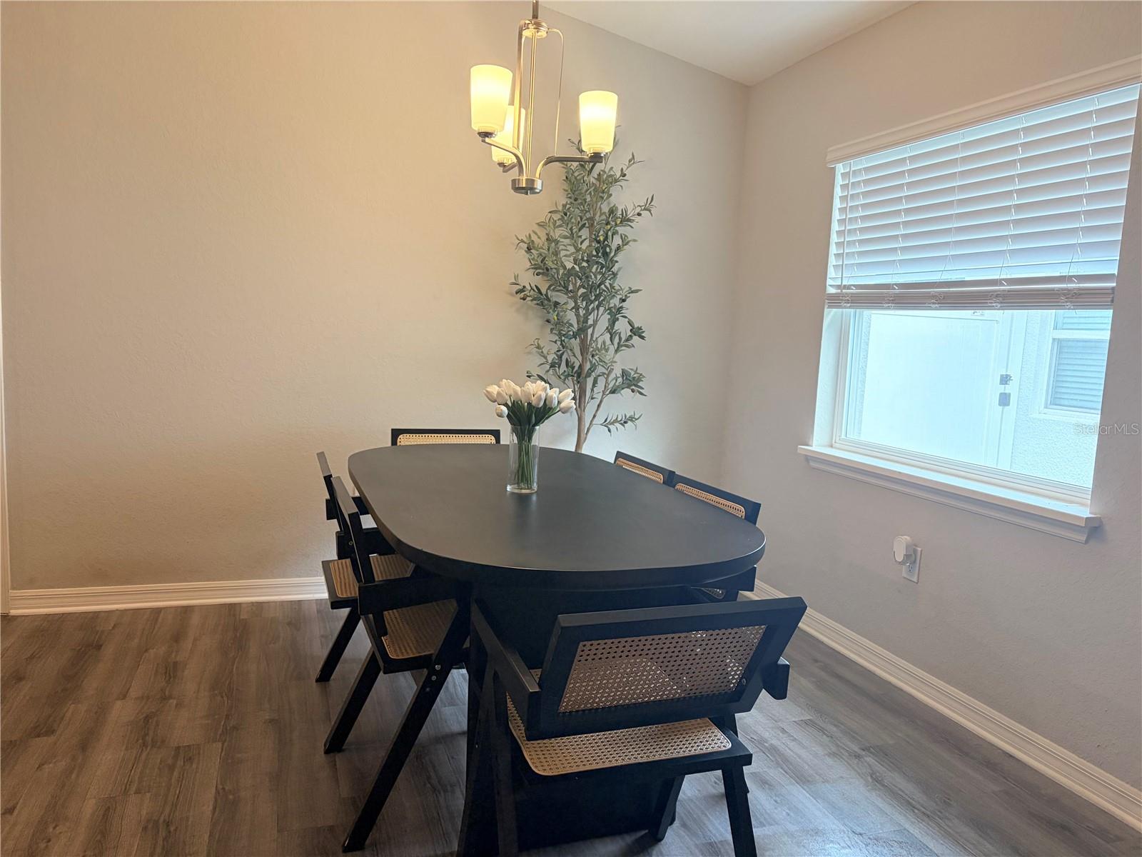 35255 CRESCENT CREEK DR, ZEPHYRHILLS, FL — photo 4