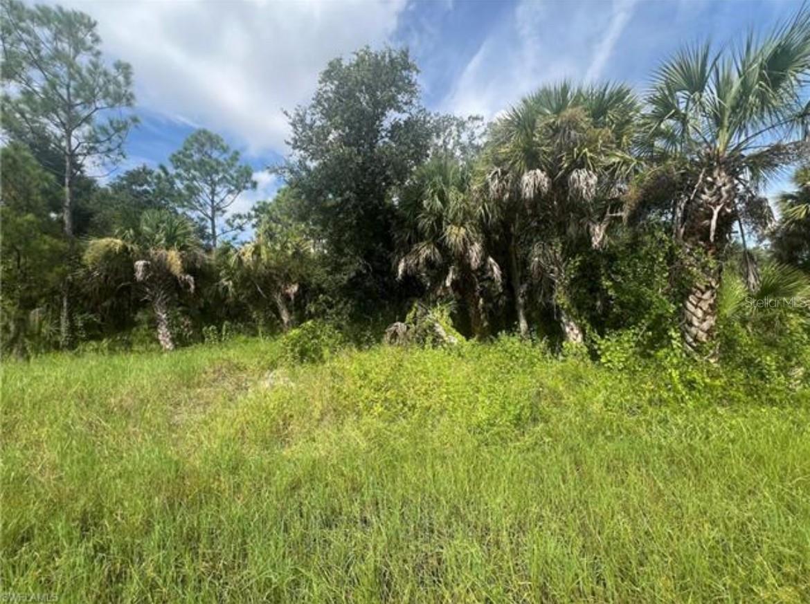 441 ADMIRAL ST, PORT CHARLOTTE, FL — photo 3