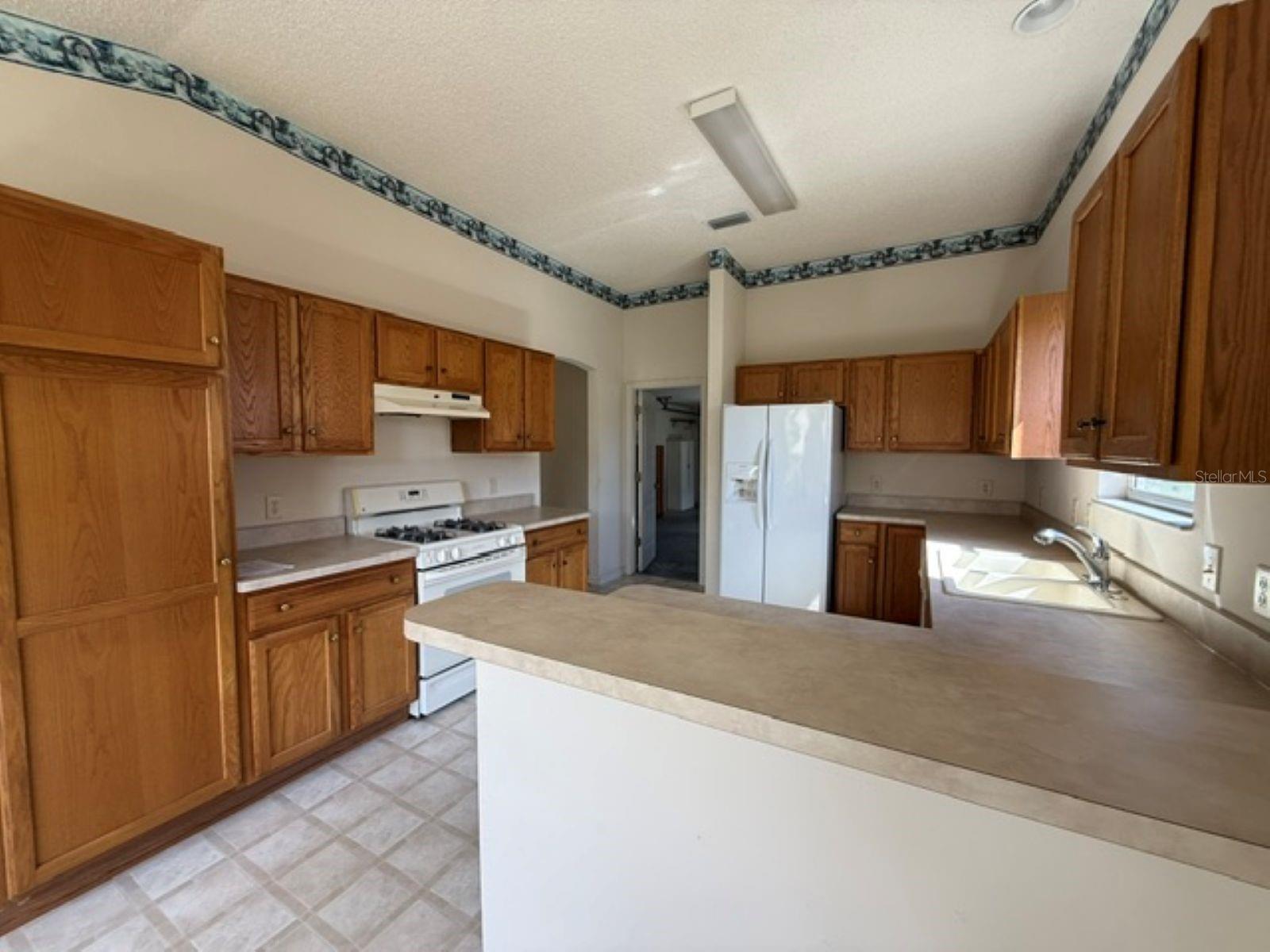 3001 SAINT THOMAS LN, THE VILLAGES, FL — photo 5