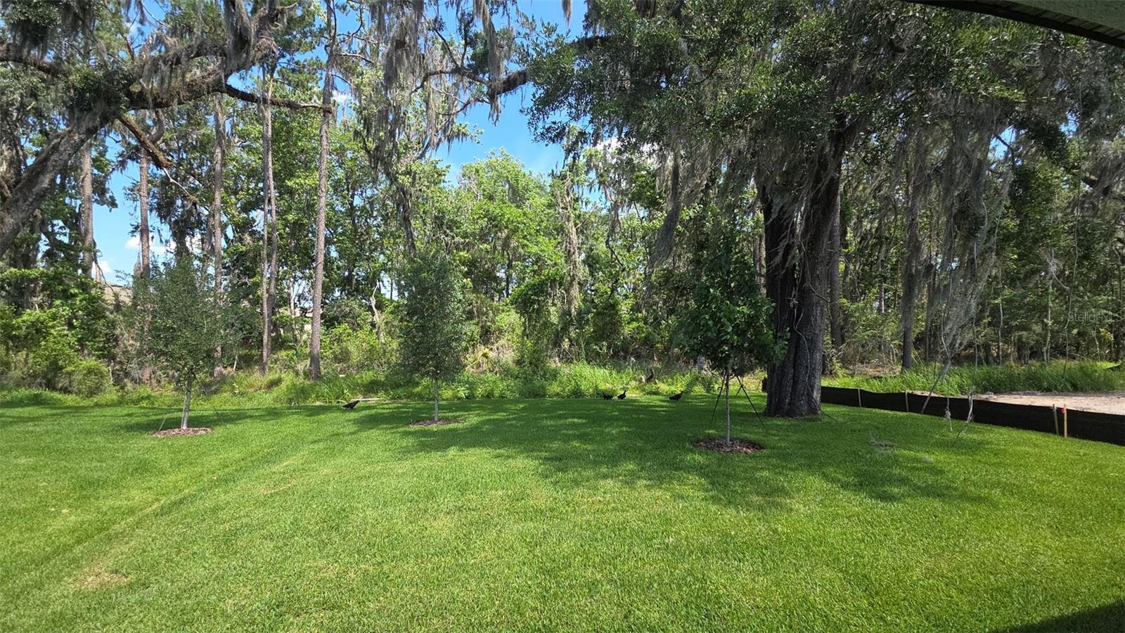 19451 FOREST GARDEN CT, BROOKSVILLE, FL — photo 3