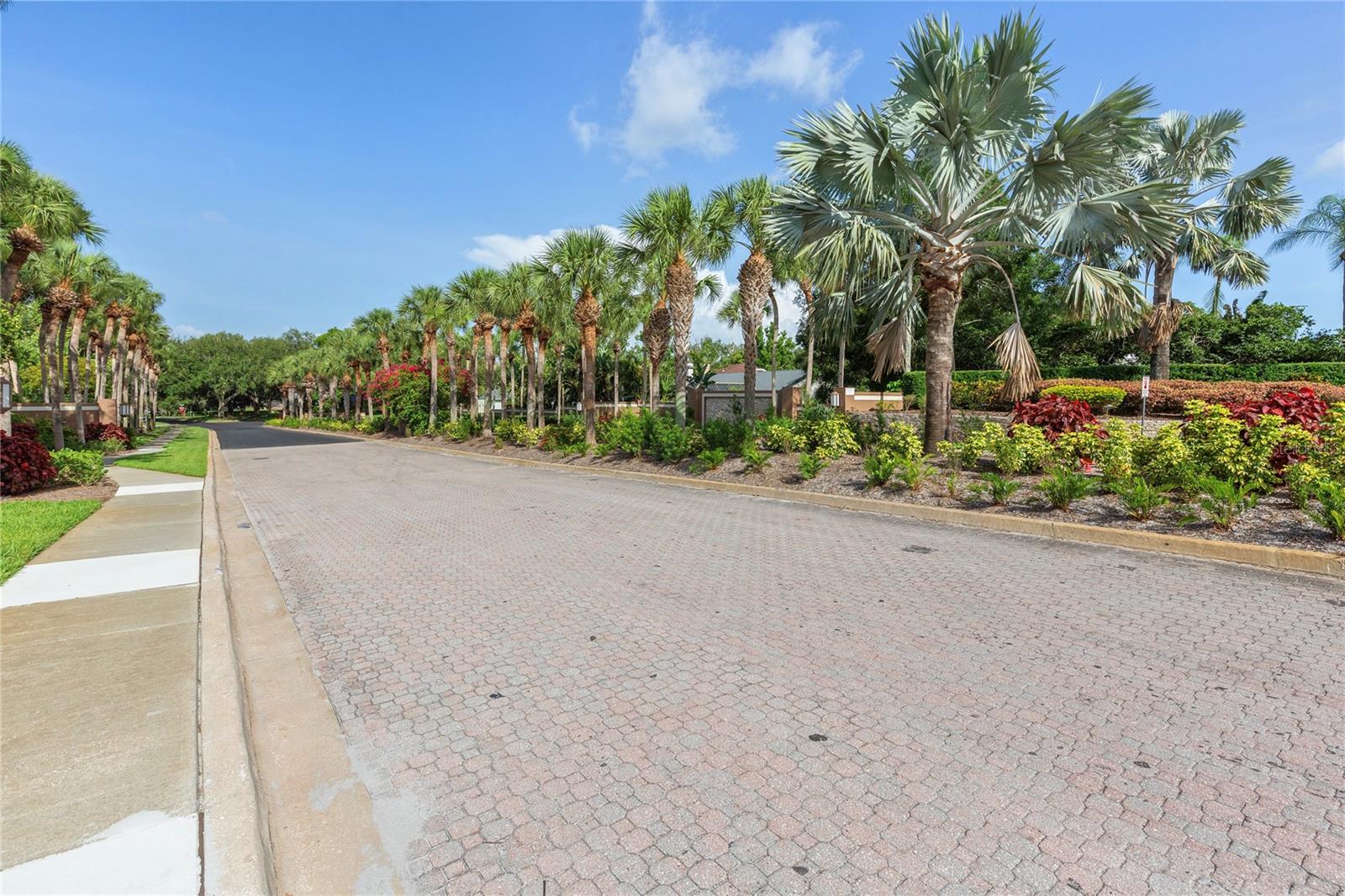 2653 LANDING WAY, PALM HARBOR, FL — photo 49