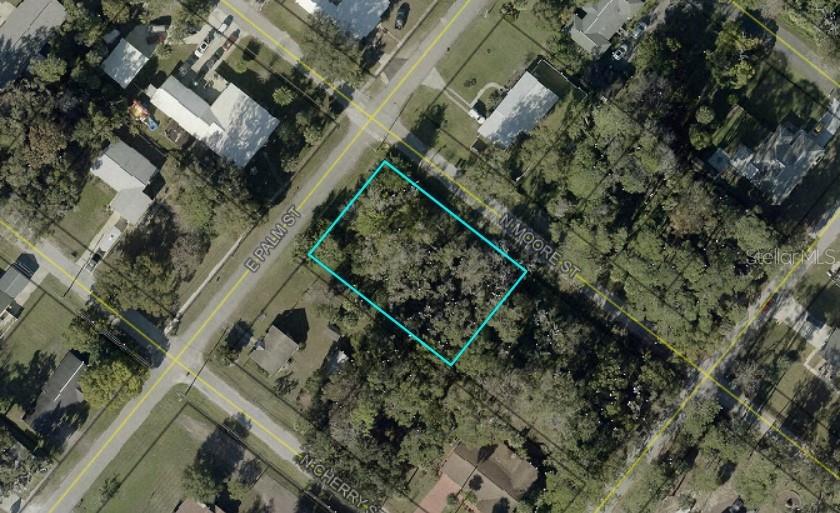 E PALM STREET, BUNNELL, FL