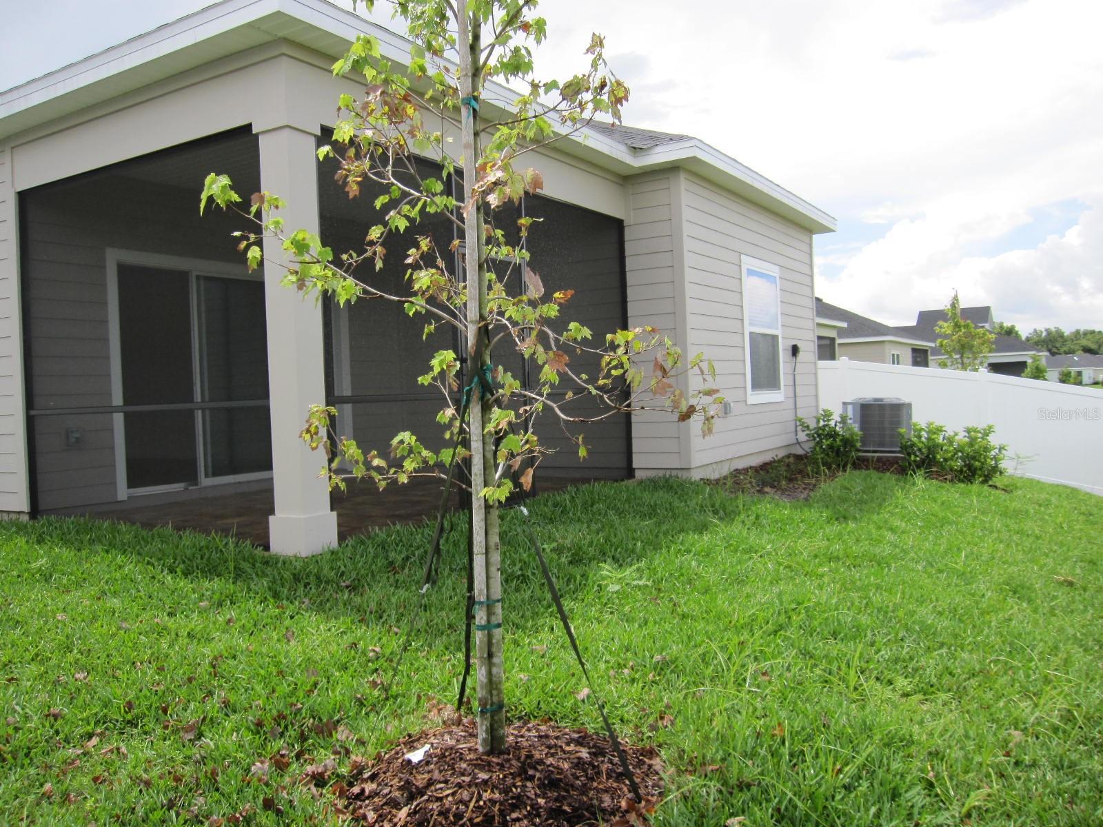 4494 NW 14TH LOOP, OCALA, FL — photo 31