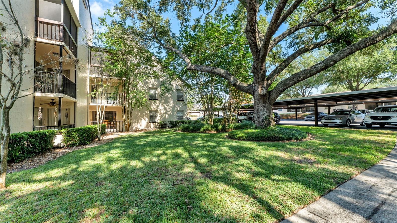2025 SYLVESTER RD #N305, LAKELAND, FL — photo 4