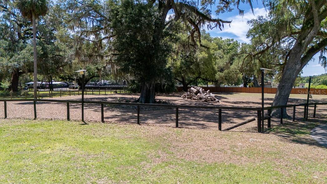 830 NW 111TH LN, OXFORD, FL — photo 10