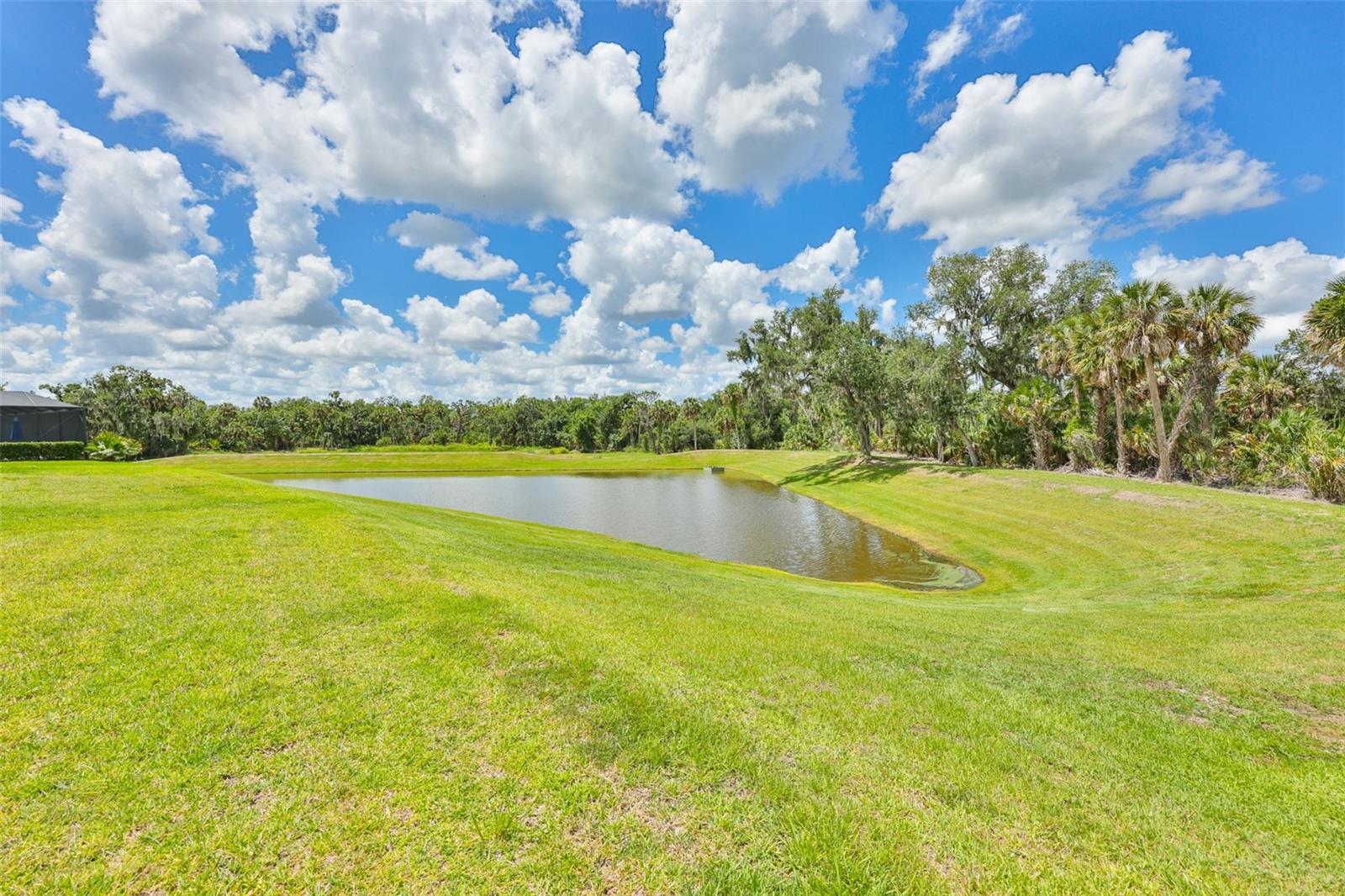 14269 SKIPPING STONE LOOP, PARRISH, FL — photo 44