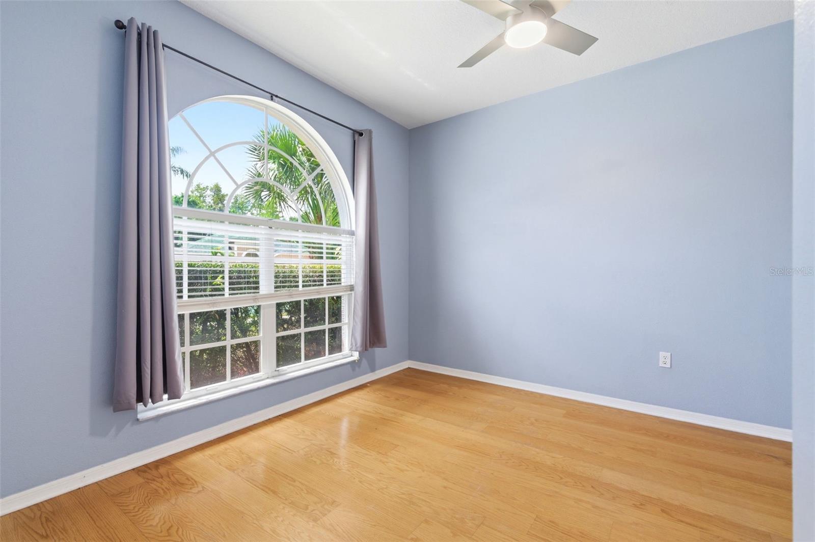 1623 CROSSVINE CT, TRINITY, FL — photo 5