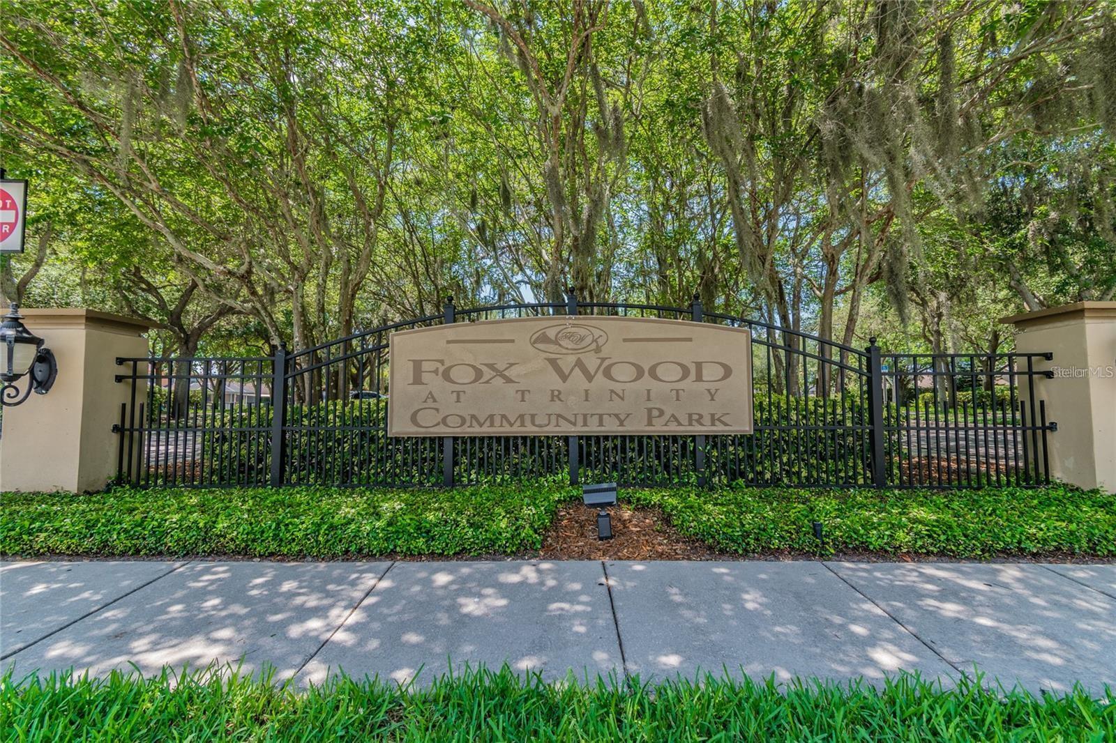 1623 CROSSVINE CT, TRINITY, FL — photo 50