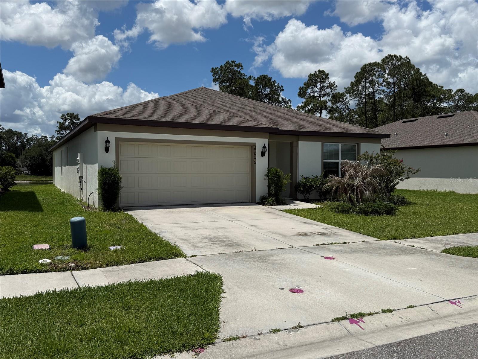 30596 THUNDERBIRD DR, WESLEY CHAPEL, FL — photo 4