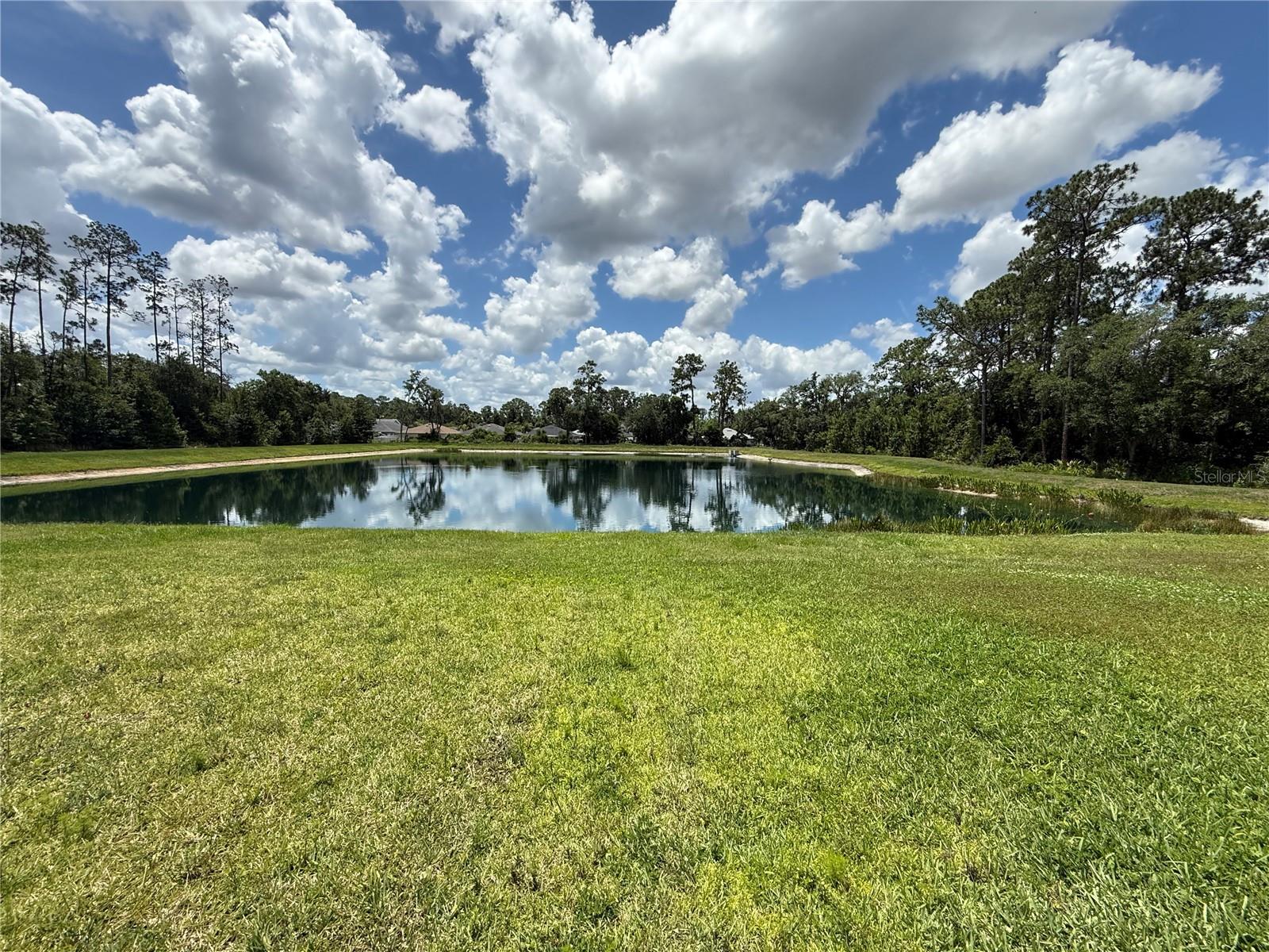 30596 THUNDERBIRD DR, WESLEY CHAPEL, FL — photo 6