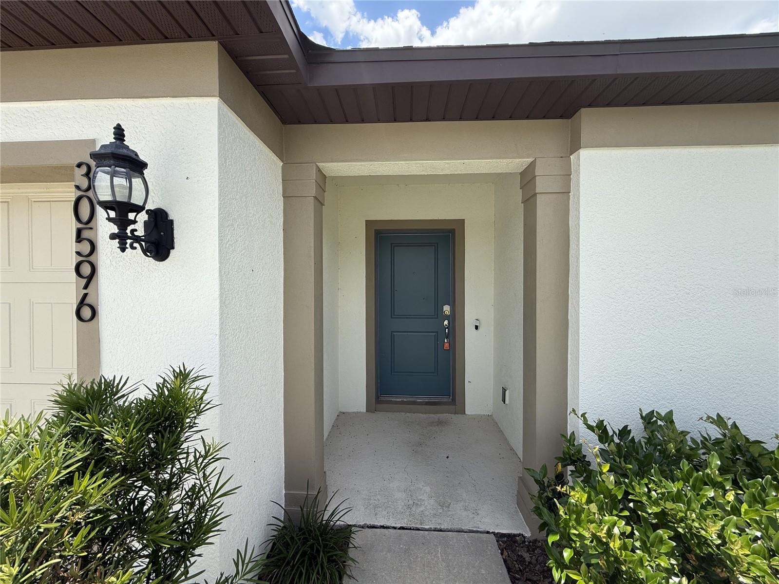 30596 THUNDERBIRD DR, WESLEY CHAPEL, FL — photo 10
