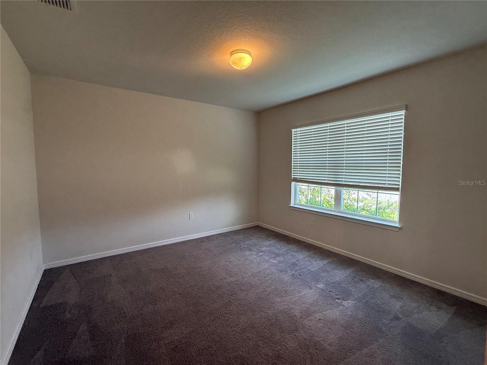 30596 THUNDERBIRD DR, WESLEY CHAPEL, FL — photo 14