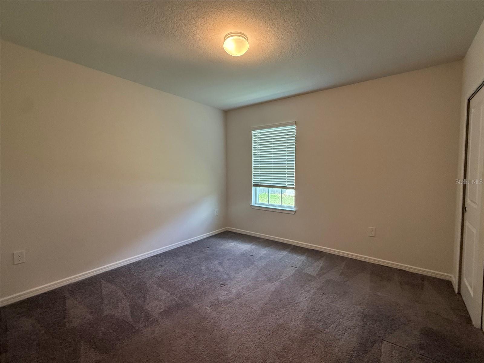 30596 THUNDERBIRD DR, WESLEY CHAPEL, FL — photo 18
