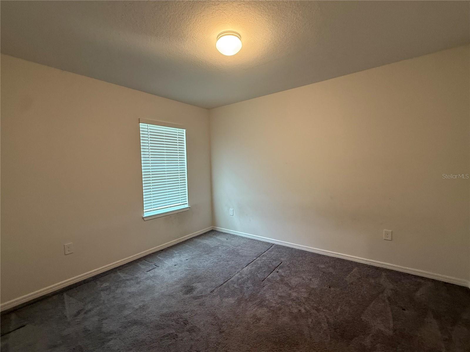 30596 THUNDERBIRD DR, WESLEY CHAPEL, FL — photo 20