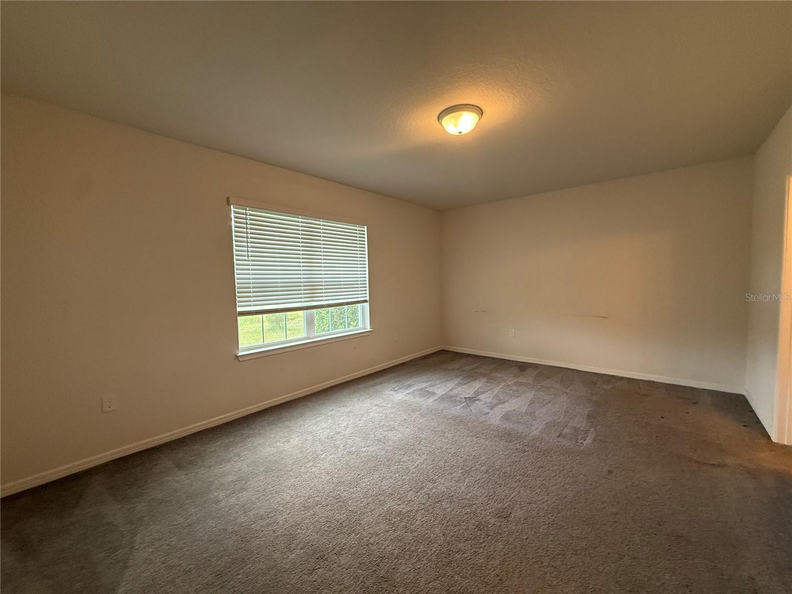 30596 THUNDERBIRD DR, WESLEY CHAPEL, FL — photo 39