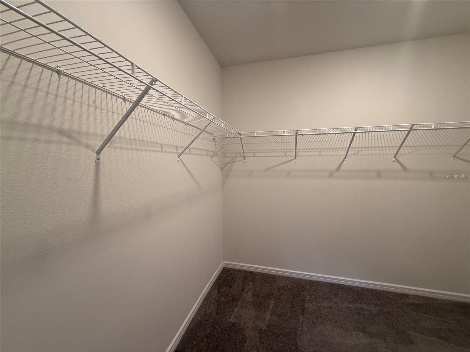 30596 THUNDERBIRD DR, WESLEY CHAPEL, FL — photo 46