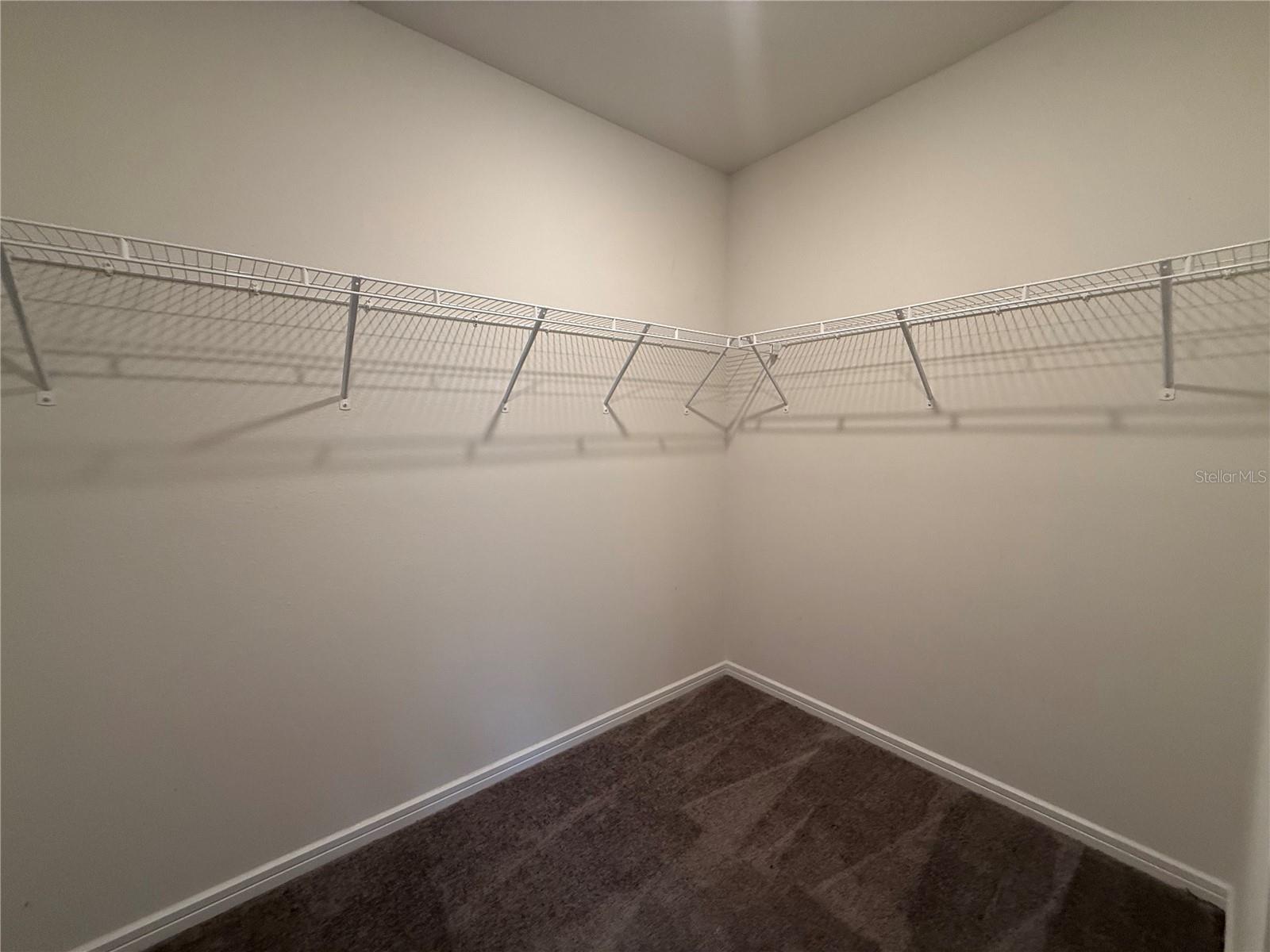30596 THUNDERBIRD DR, WESLEY CHAPEL, FL — photo 47