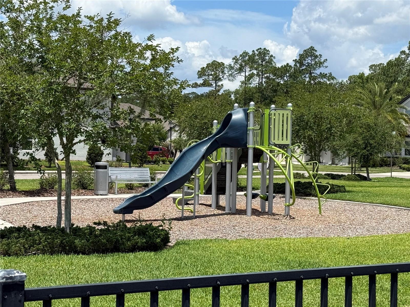 30596 THUNDERBIRD DR, WESLEY CHAPEL, FL — photo 60