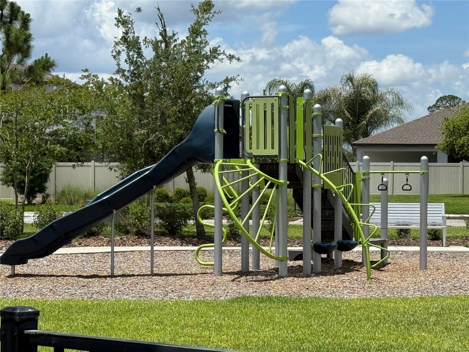 30596 THUNDERBIRD DR, WESLEY CHAPEL, FL — photo 61