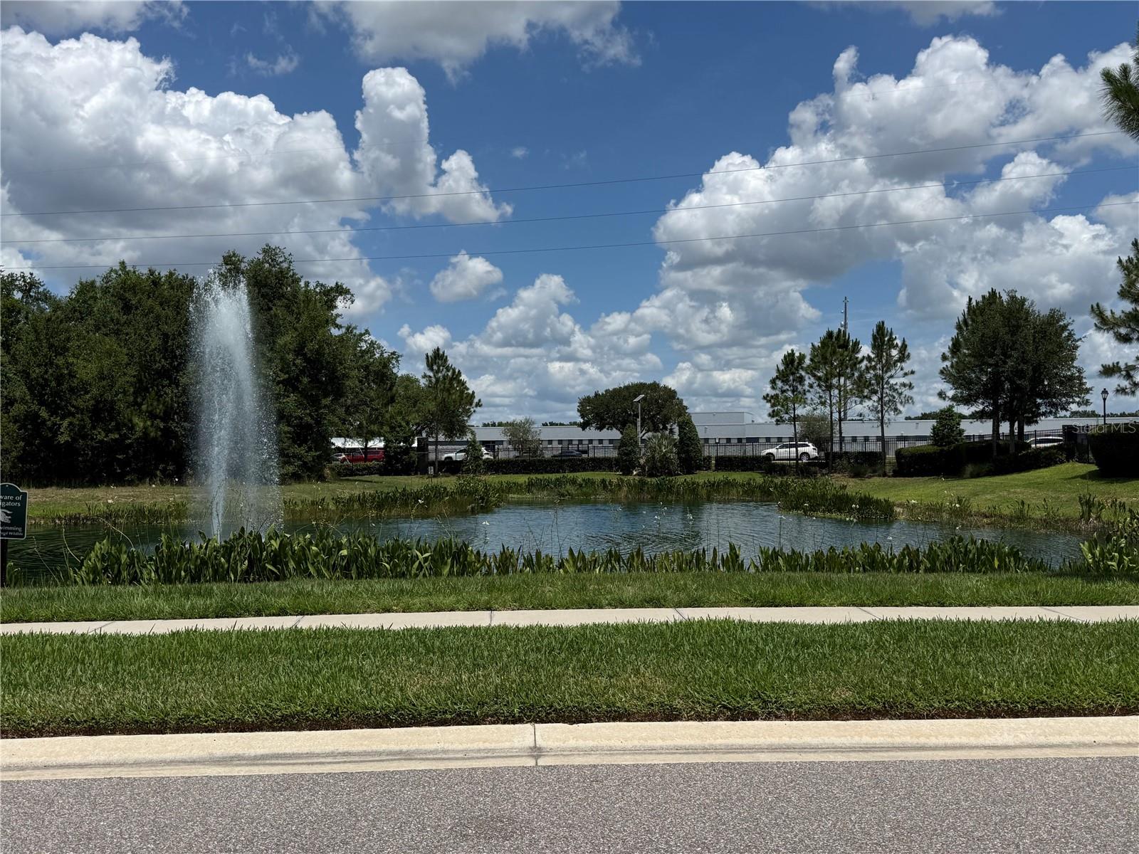 30596 THUNDERBIRD DR, WESLEY CHAPEL, FL — photo 68
