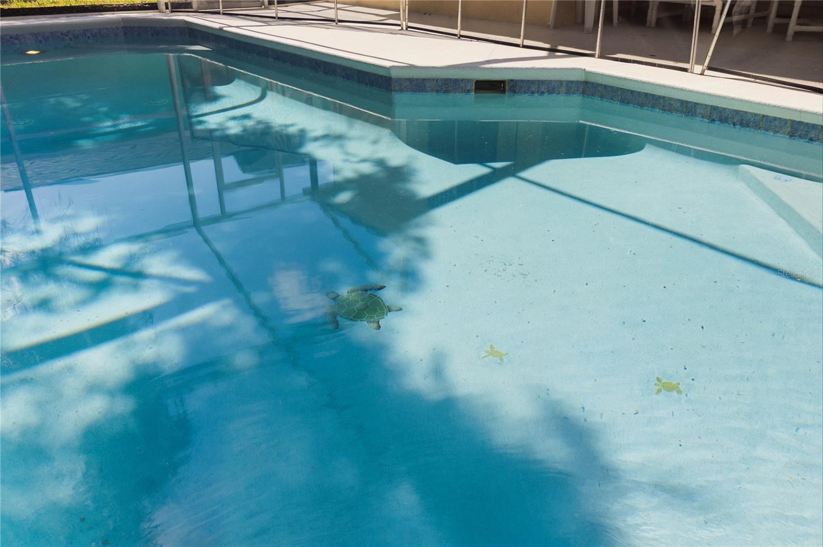 446 RESERVE DR, DAVENPORT, FL — photo 46