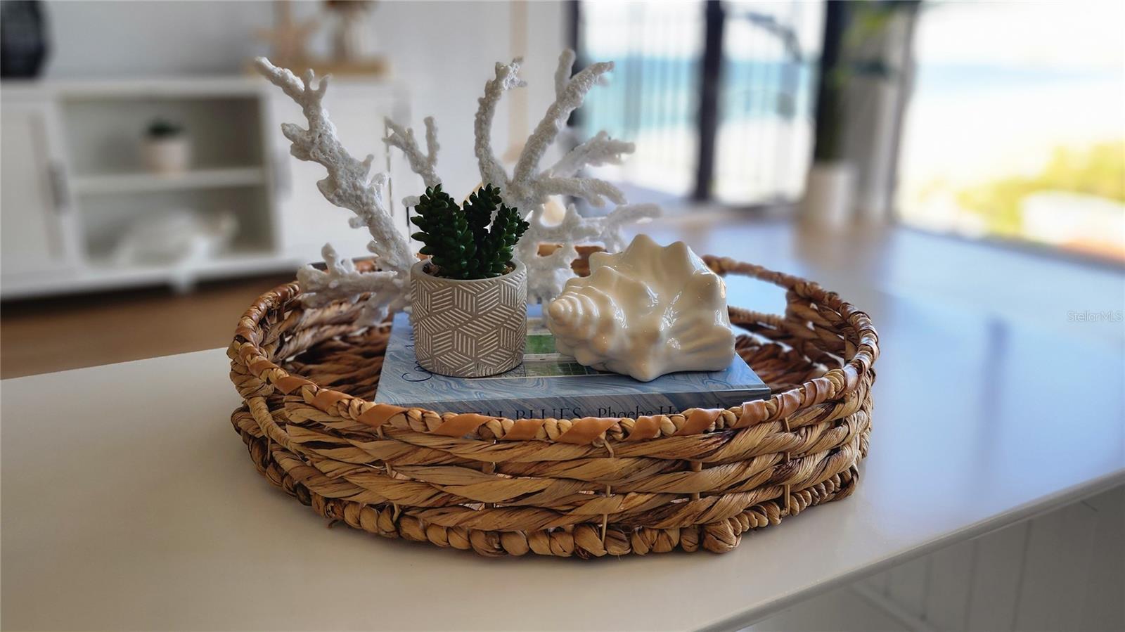 3820 GULF BLVD #807, ST PETE BEACH, FL — photo 22