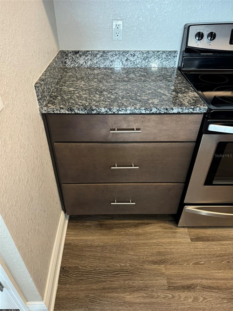2420 ANN ROU RD #201, TAVARES, FL — photo 23