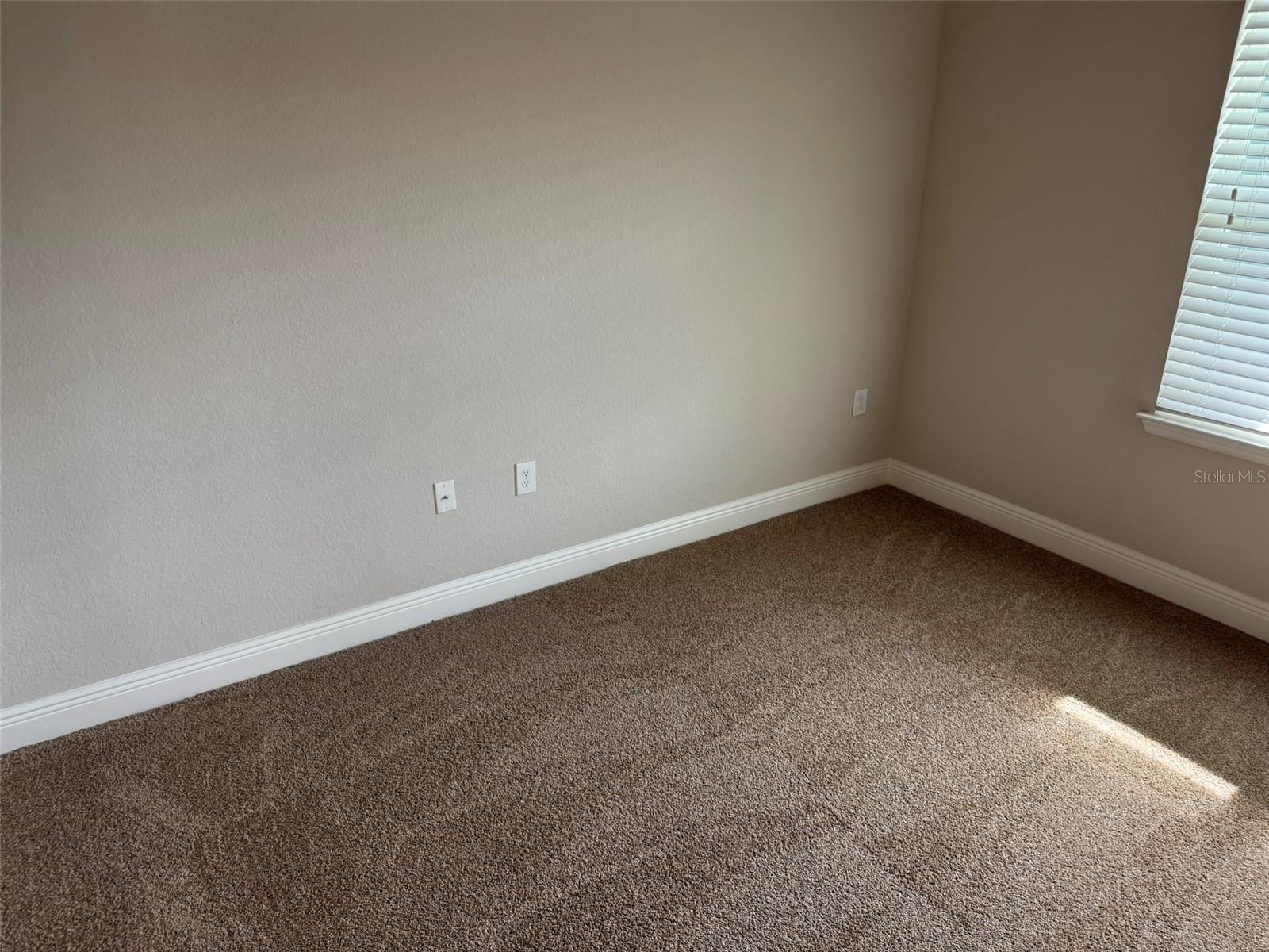 2420 ANN ROU RD #201, TAVARES, FL — photo 32