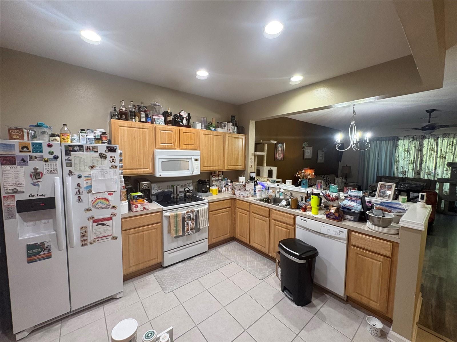 4605 BARNSTEAD DR, RIVERVIEW, FL — photo 6