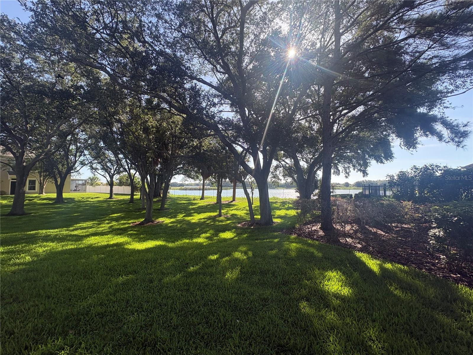 4605 BARNSTEAD DR, RIVERVIEW, FL — photo 13