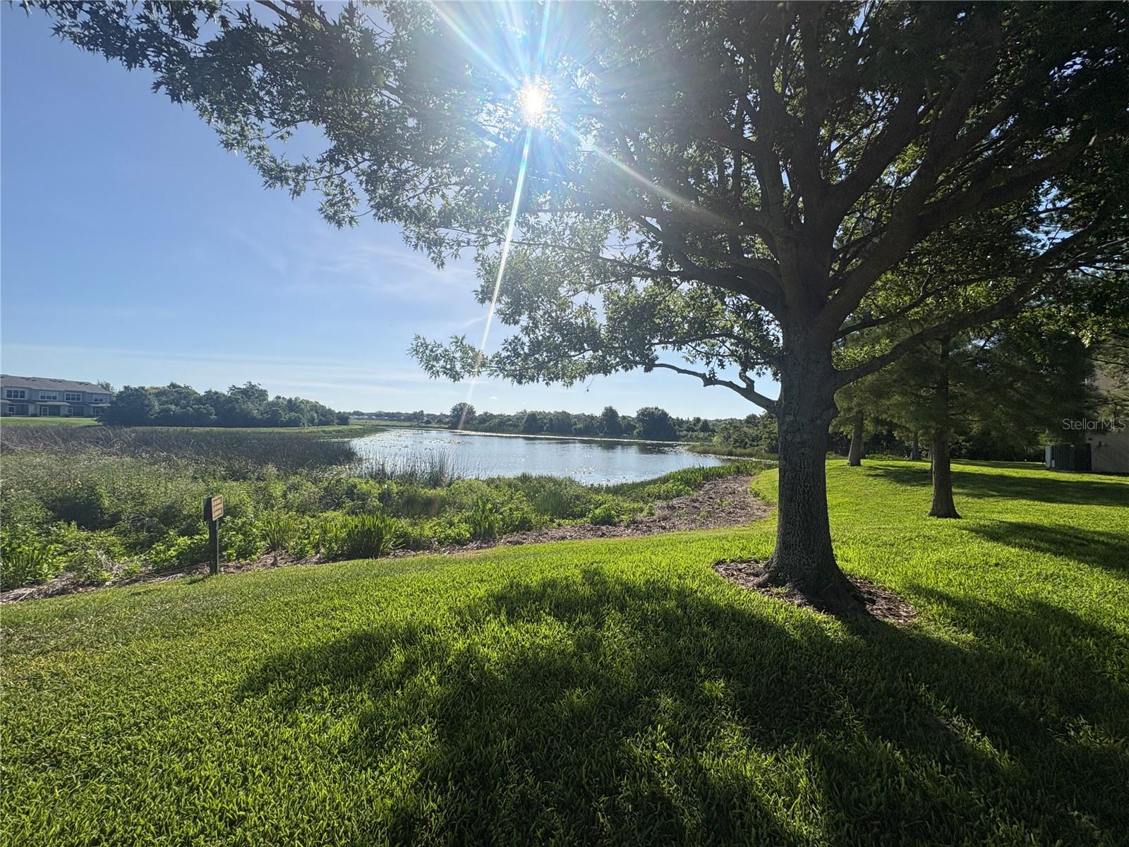 4605 BARNSTEAD DR, RIVERVIEW, FL — photo 14