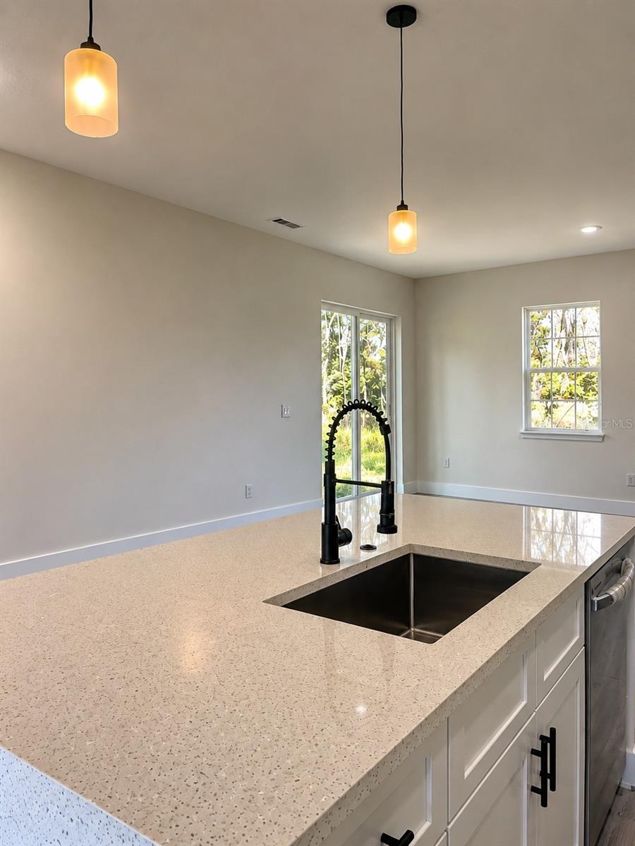 16868 SW SW 46TH TERRACE TER, OCALA, FL — photo 6