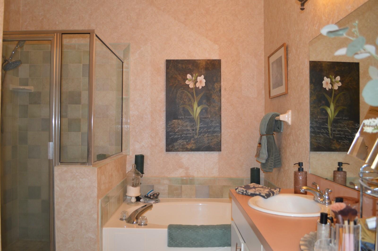 30114 EMMETTS CT, WESLEY CHAPEL, FL — photo 13