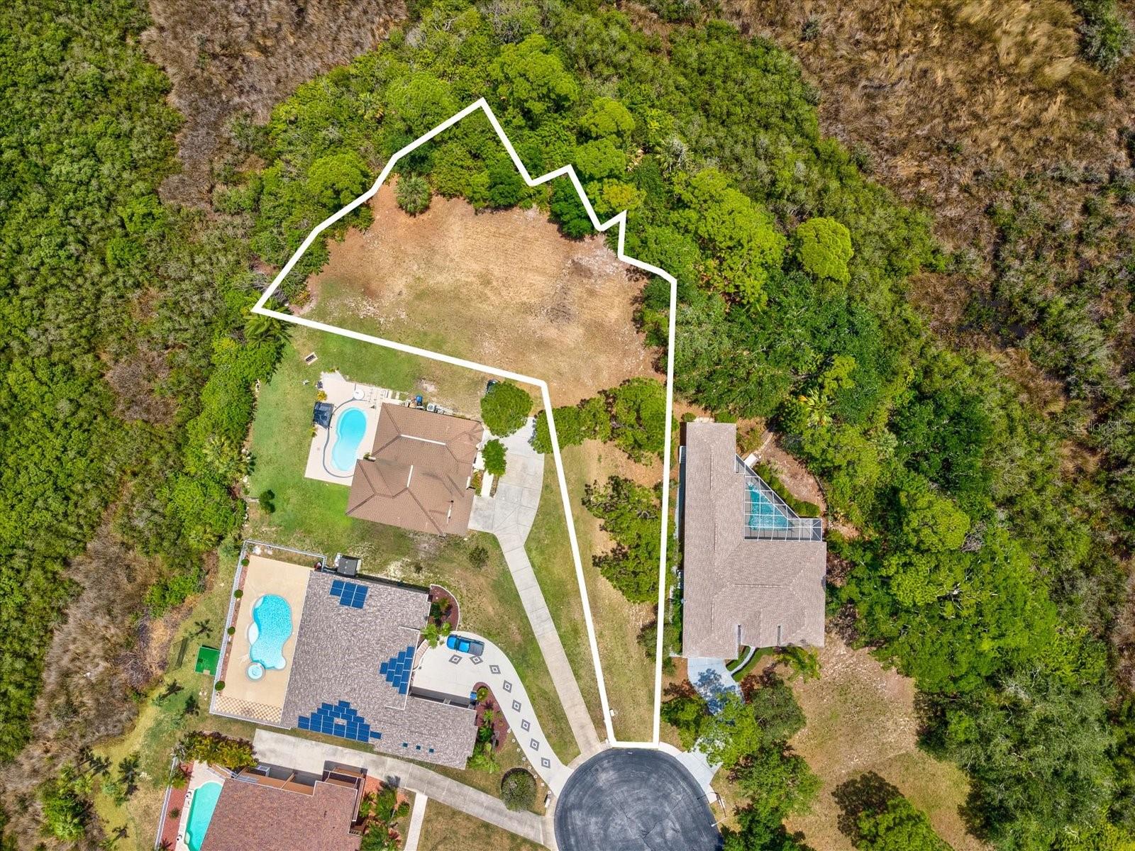 3046 SHEPPARDS CROOK CT, HOLIDAY, FL — photo 4