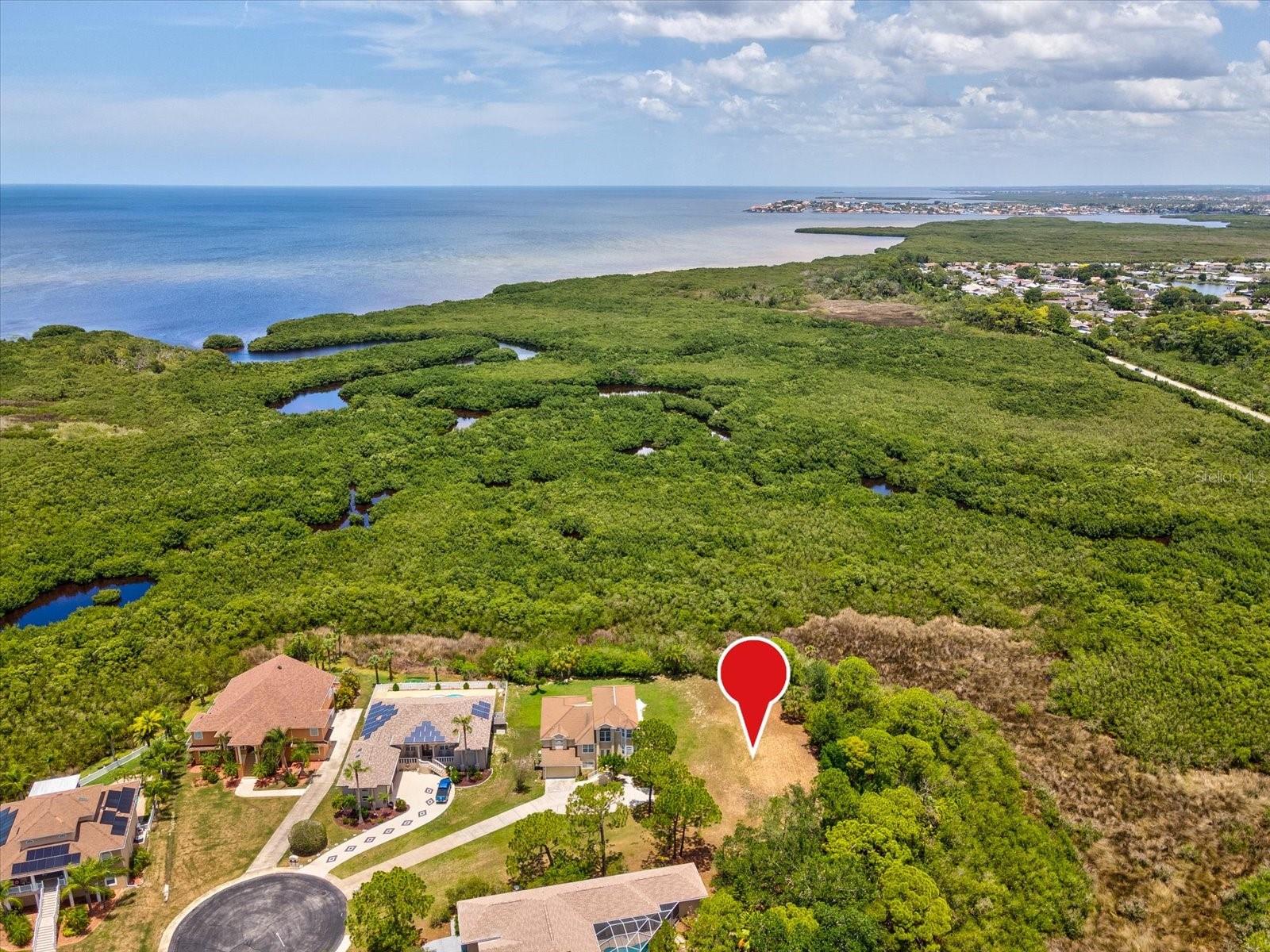3046 SHEPPARDS CROOK CT, HOLIDAY, FL — photo 5