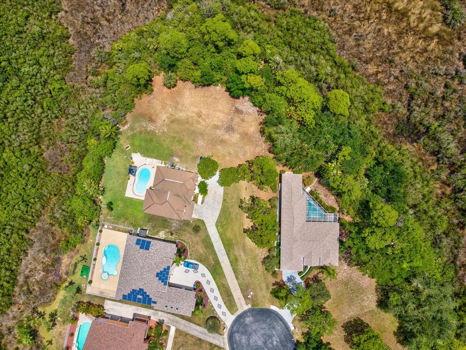 3046 SHEPPARDS CROOK CT, HOLIDAY, FL — photo 10