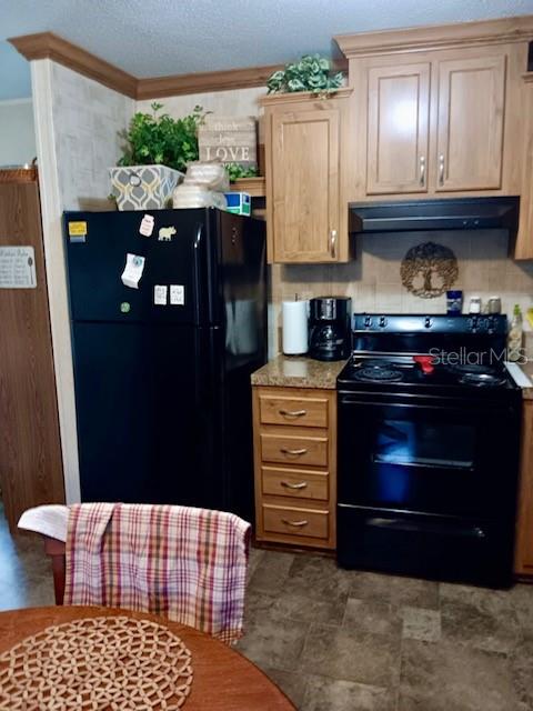 17749 SE 156TH PLACE RD, WEIRSDALE, FL — photo 9