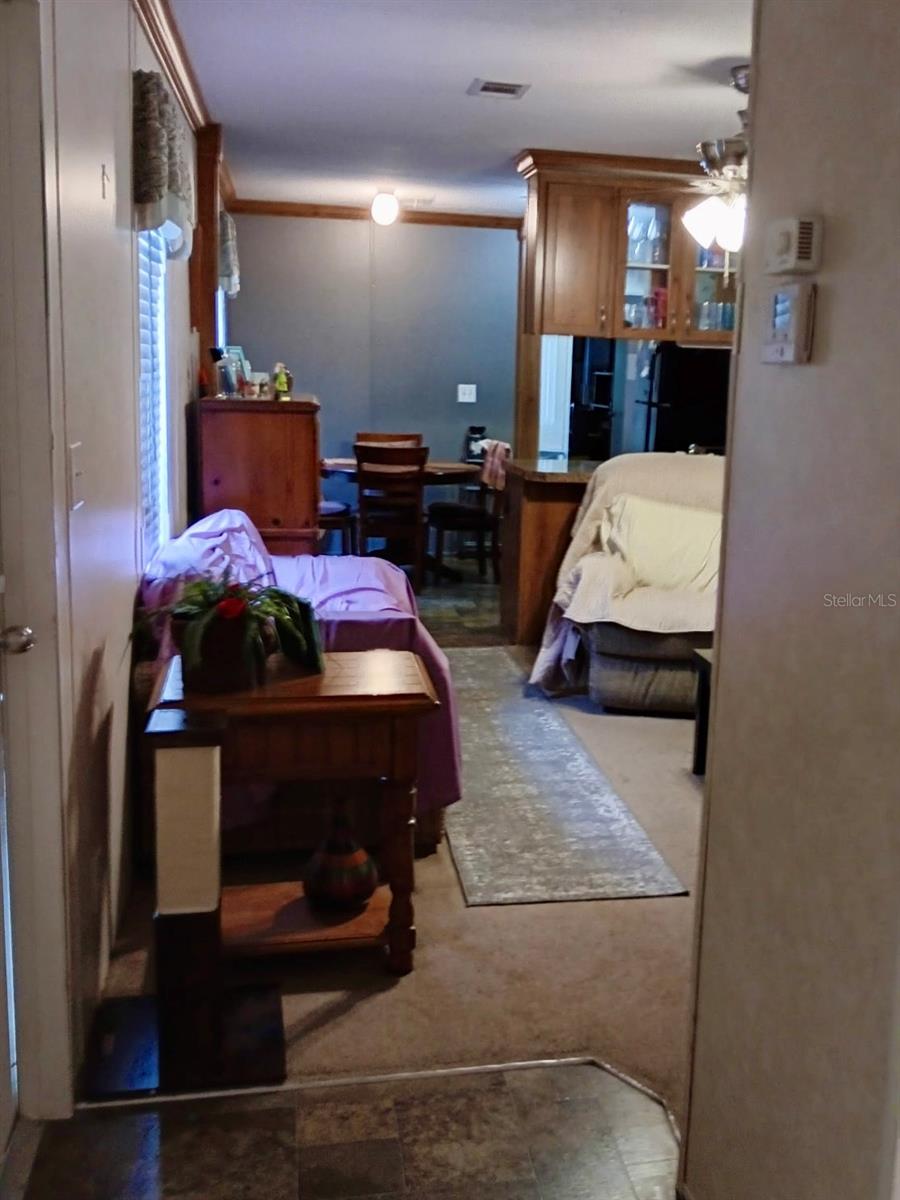 17749 SE 156TH PLACE RD, WEIRSDALE, FL — photo 17