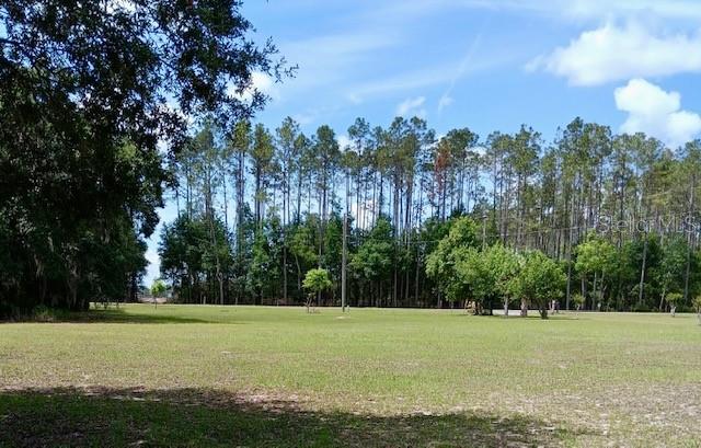 17749 SE 156TH PLACE RD, WEIRSDALE, FL — photo 33