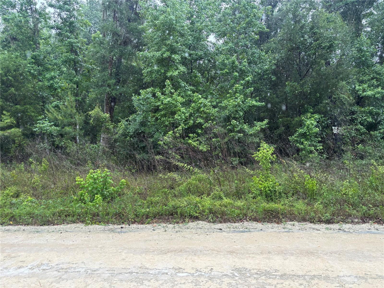 0000 SW 7TH LN, OCALA, FL